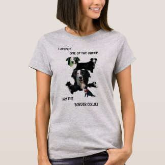 CAMISETA "EU SOU O COLLIE DA FRONTEIRA"