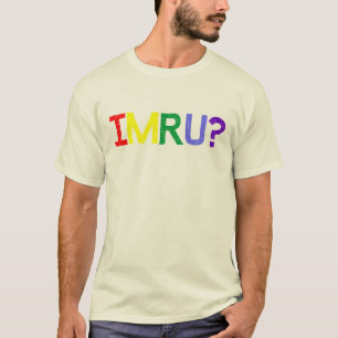 Camiseta Eu sou sou você orgulho do arco-íris de IMRU