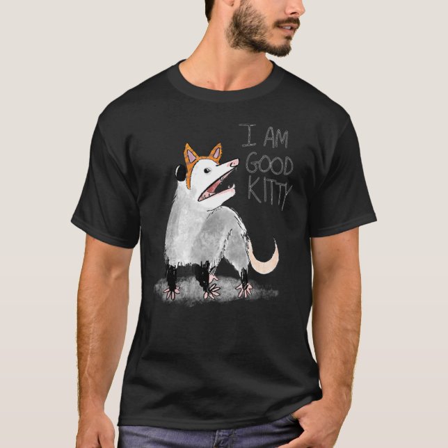 Camiseta Eu Sou Um Bom Gatinho Ogambá (Frente)