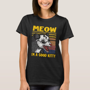 Camiseta Eu Sou Um Bom Gatinho, Piada, Ogambm Memsum