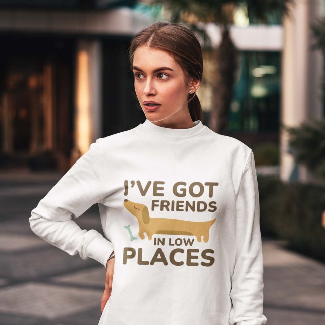 Camiseta Eu tenho amigos em lugares baixos (wiener dog sweatshirt)