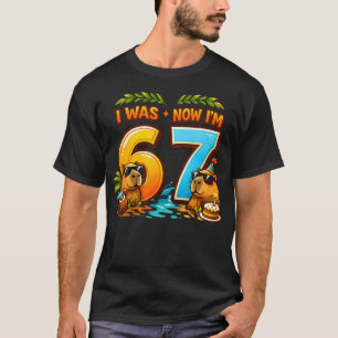 Camiseta Eu Tinha 6 Anos Agora Eu Tenho 7 Aniversário 67 Me