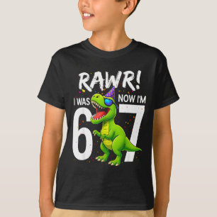 Camiseta Eu tinha 6 anos agora eu tenho 7 anos de idade 7º 