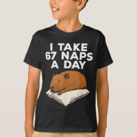 Eu Tomo 67 Sonecas Por Dia Capivara Engraçada Meme