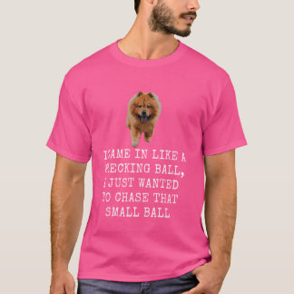 Camiseta Eu Vim Como Um Pai De Cachorro Engraçado E Engraça