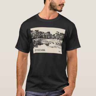 CAMISETA EUA