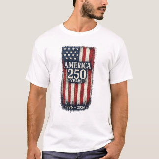 CAMISETA EUA 250