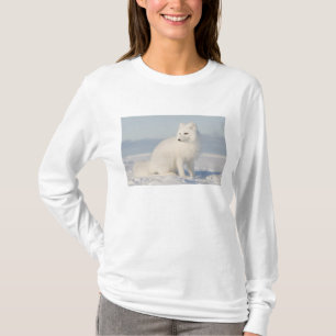 Camiseta EUA, Alasca, 1002 Planície Costeira do Ártico 5