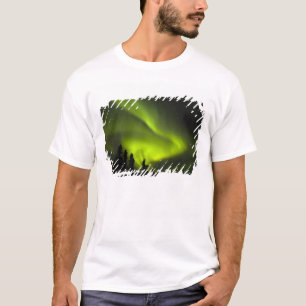 Camiseta EUA, Alasca, Chena Hot Springs. Aurora Boreal 2