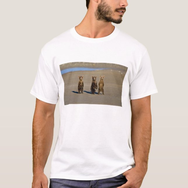Camiseta EUA. Alasca. Filhotes de urso marrom costeiro (Frente)