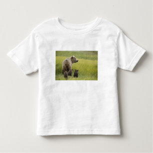 Camiseta EUA, Alasca, Lago Clark National Park. Grizzly