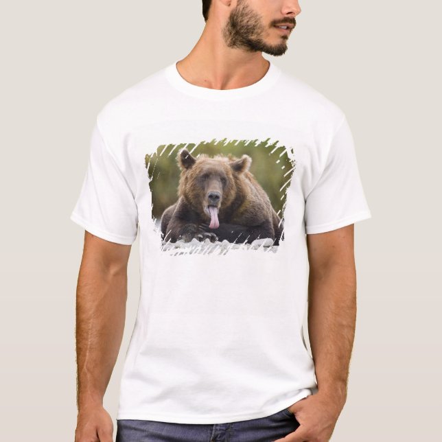 Camiseta EUA, Alasca, Parque Nacional de Katmai, Baía de Ku (Frente)
