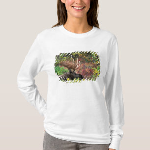 Camiseta EUA, Alasca, Parque Nacional Denali, Alce macho
