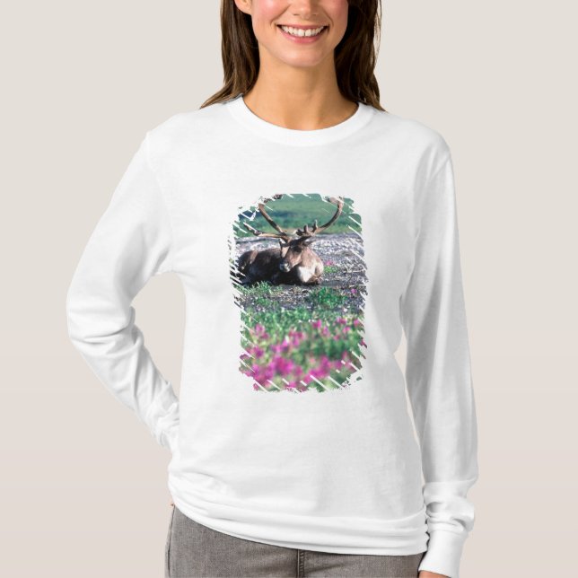 Camiseta EUA, Alasca, Parque Nacional Denali, Rena (Frente)
