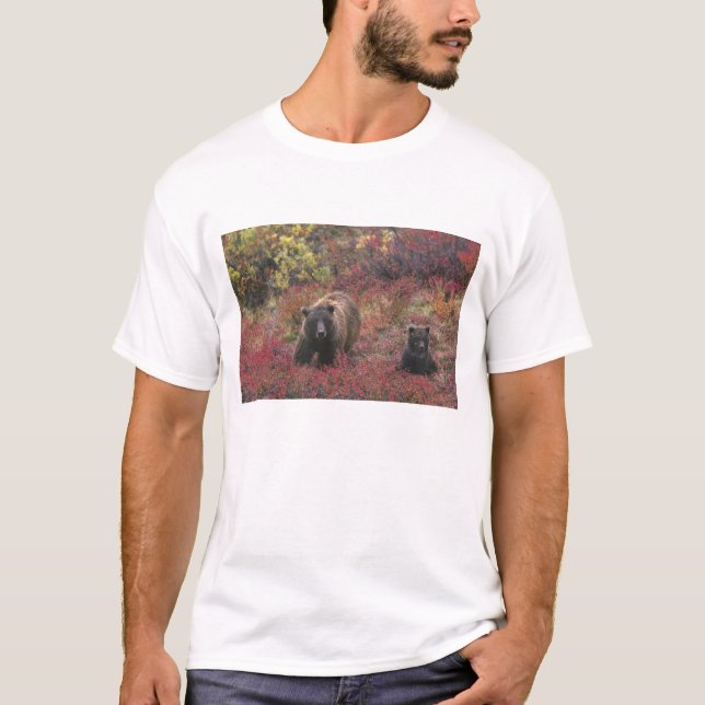 Camiseta EUA, Alasca, Parque Nacional Denali. Urso pardo (Frente)