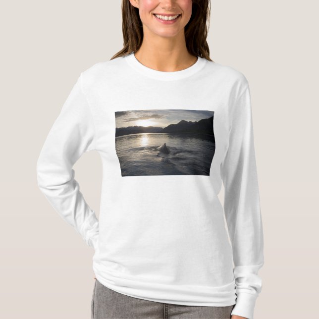 Camiseta EUA, Alasca, Parque Nacional Glacier Bay, (Frente)