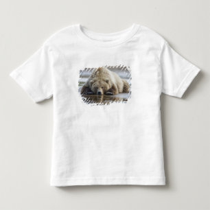 Camiseta EUA, Alasca, Parque Nacional Katmai, Urso Pardo