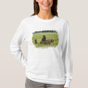 Camiseta EUA, Alasca, Parque Nacional Lake Clark