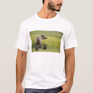 Camiseta EUA, Alasca, Parque Nacional Lake Clark. Urso-pard
