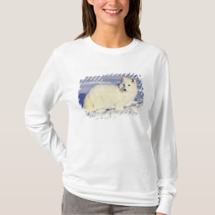 Camiseta EUA, Alasca. Raposa ártica com pelagem de inverno