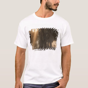 Camiseta EUA; América do Norte; Geórgia; Savannah. Rapazes