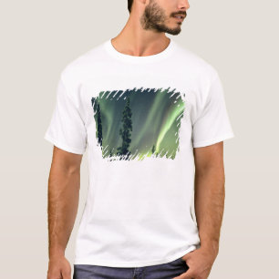 Camiseta EUA, área de Fairbanks, Alasca Central, Aurora