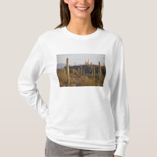 Camiseta EUA, Arizona, Deserto de Sonora, Ajo, Ajo 2