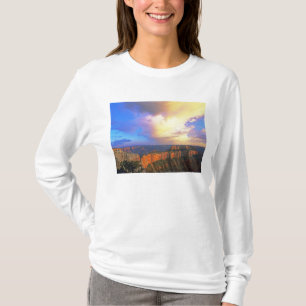 Camiseta EUA, Arizona, Grand Canyon National Park. Ver
