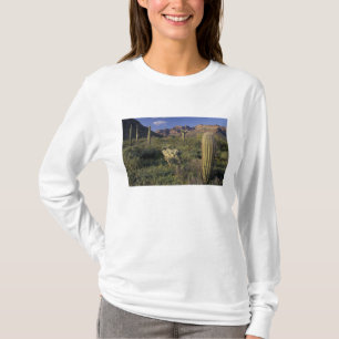 Camiseta EUA, Arizona, Monumento Nacional Organ Pipe.