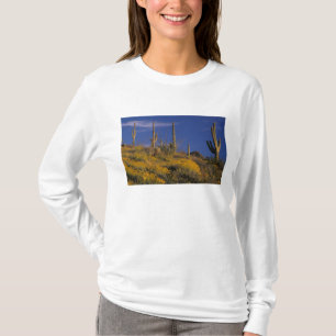 Camiseta EUA, Arizona, Organ Pipe Cactus National 2