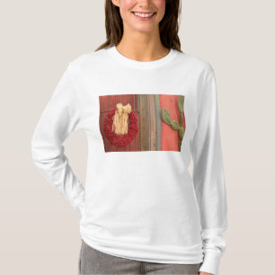Camiseta EUA, Arizona, Tucson: Presidio Historic District