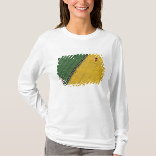 Camiseta EUA, Arizona, Val Vista. Balões de ar quente sobem