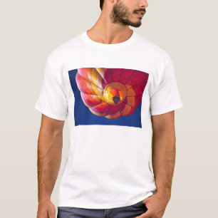 Camiseta EUA, Arizona, Val Vista. Um balão de ar quente col