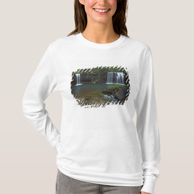 Camiseta EUA, Arkansas, Ozark- St Francis Nacional (Frente)