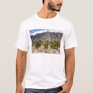 Camiseta EUA, Califórnia, Anza-Borrego Desert State Park.
