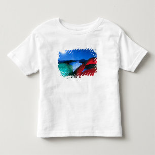 Camiseta EUA, Califórnia, Colinas do Alabama, Foto noturna