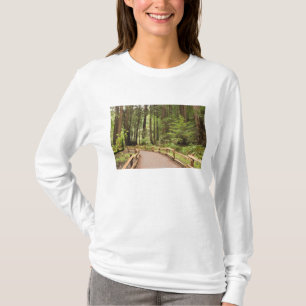 Camiseta EUA, Califórnia, Condado de Marin, Muir Woods
