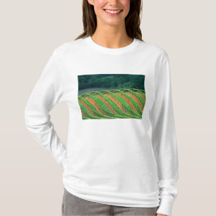 Camiseta EUA, Califórnia, Condado de Mendocino, uma espalde