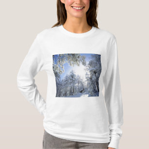 Camiseta EUA, Califórnia, Floresta Nacional de Cleveland,