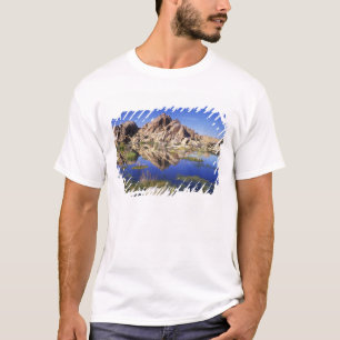 Camiseta EUA, California, Joshua Tree National Park,