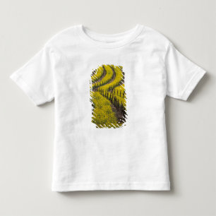 Camiseta EUA, Califórnia, Napa Valley, Los Carneros Ava.