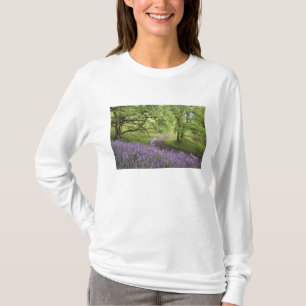Camiseta EUA, Califórnia, Parque Nacional Redwood. Sujeira