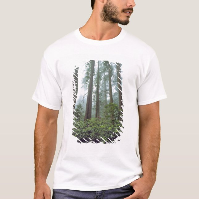 Camiseta EUA, Califórnia, Redwood NP. O erro de registro fi (Frente)