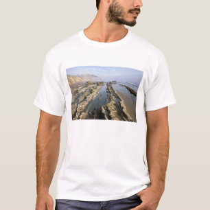 Camiseta EUA, Califórnia, Santa Bárbara, Praia de Henry.
