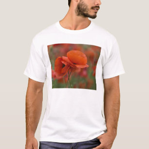 Camiseta EUA, Carolina do Norte. Duas papoulas vermelhas