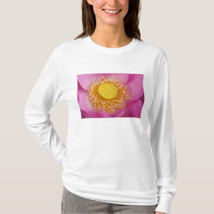 Camiseta EUA; Carolina do Norte; Lotus florescendo no