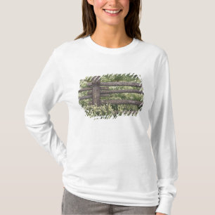 Camiseta EUA, Colorado, Camomila selvagem em torno da cerca