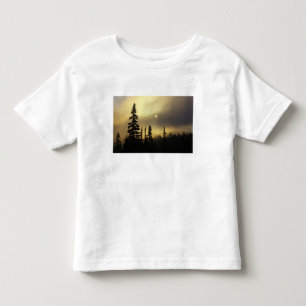 Camiseta EUA, Colorado, Floresta Nacional de San Isabel.