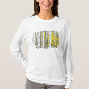 Camiseta EUA, Colorado, Floresta Nacional White River,
