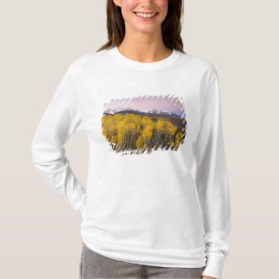 Camiseta EUA, Colorado, Montanhas Rochosas.  Amanhecer em S